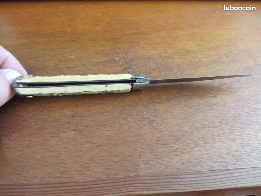 Canif Pradel manche Chamois 1950-1960 (image 5)