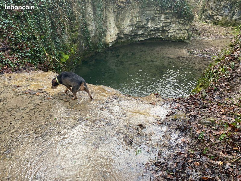 Terrain de loisirs · à Cliousclat · 35 000 €