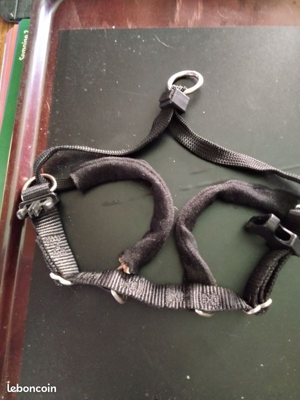 Harnais pour chien (image 1)