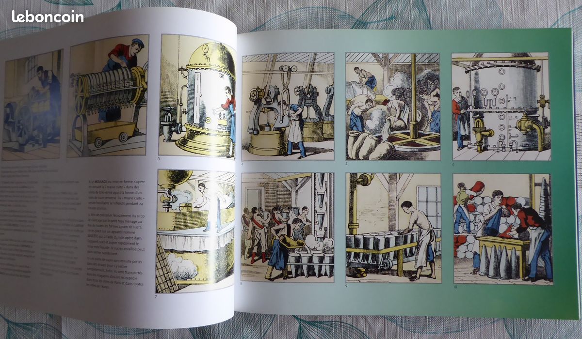 Livre "Sacrée Betterave" sucre (image 5)
