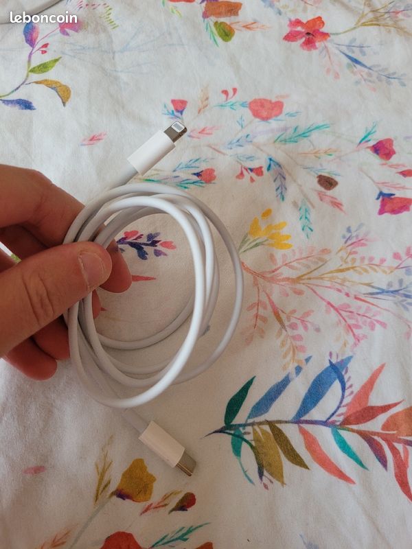 Cable Apple (image 1)