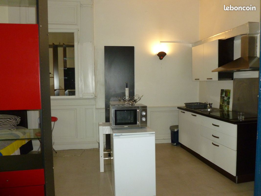 Loft meubléT2 Poitiers hyper centre wifi - Poitiers 86000 (image principale 1)