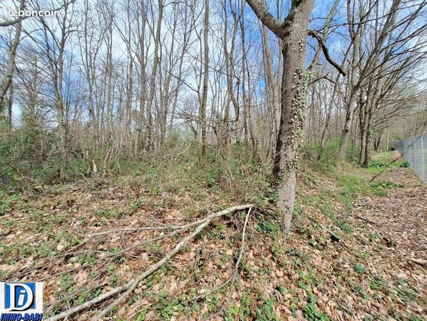 Terrain 2400 m² Sana