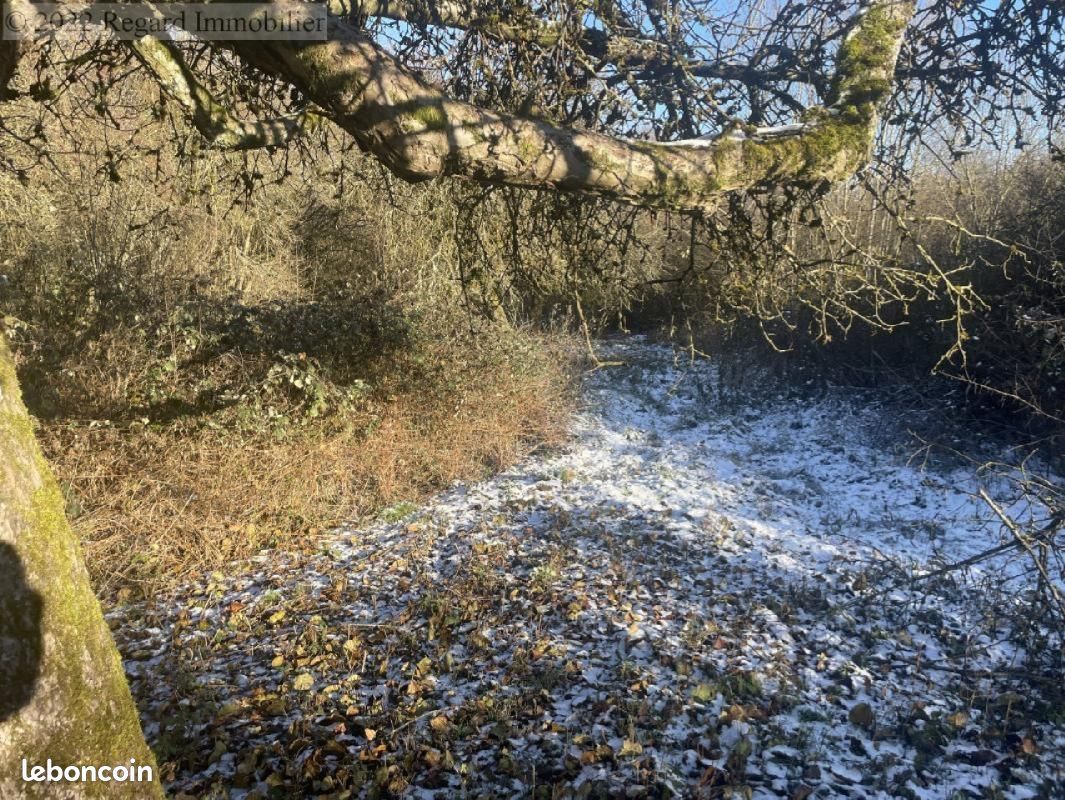Terrain 2183 m² · à Grosbliederstroff · 15 000 €