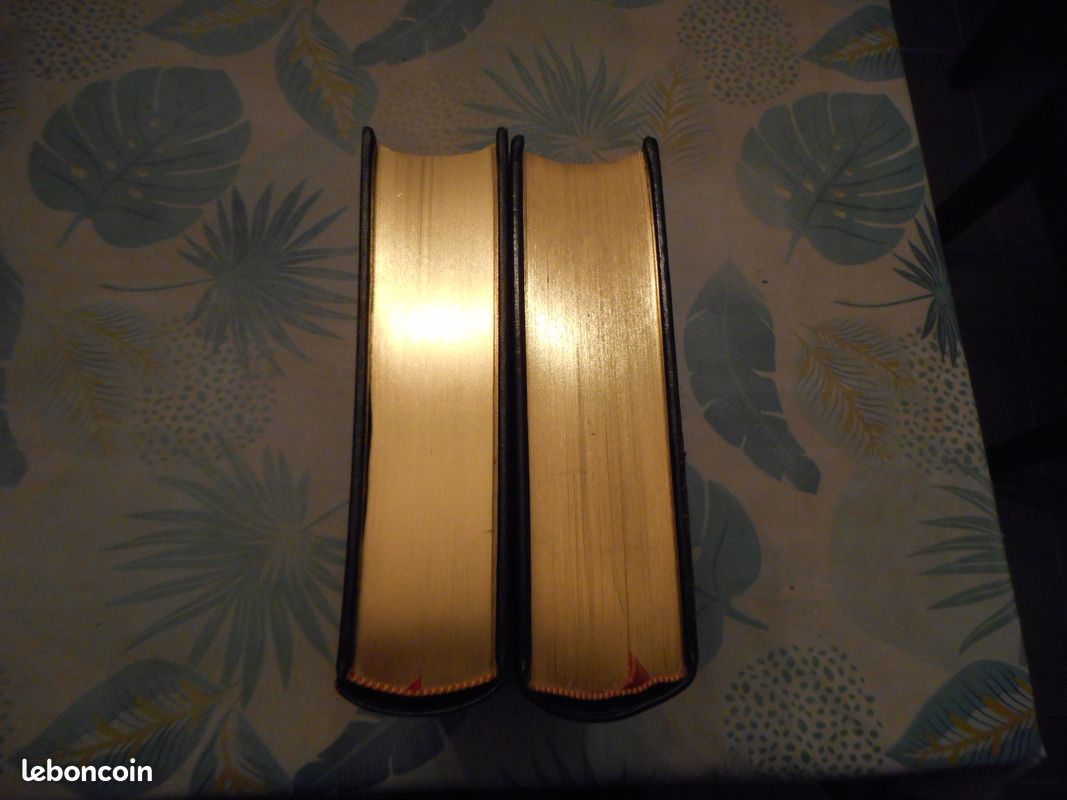 Le Livre d'heures d'Anne de Bretagne - Edition Jean de Bonnot 1979 - Etat Neuf (image 5)