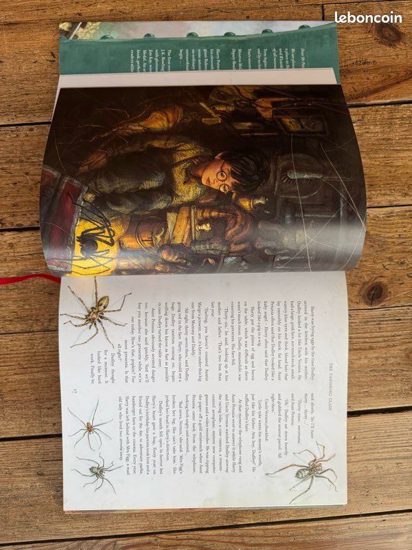 Livre en anglais Harry Potter 1 - Version Illustrée par Jim Kay (image 4)