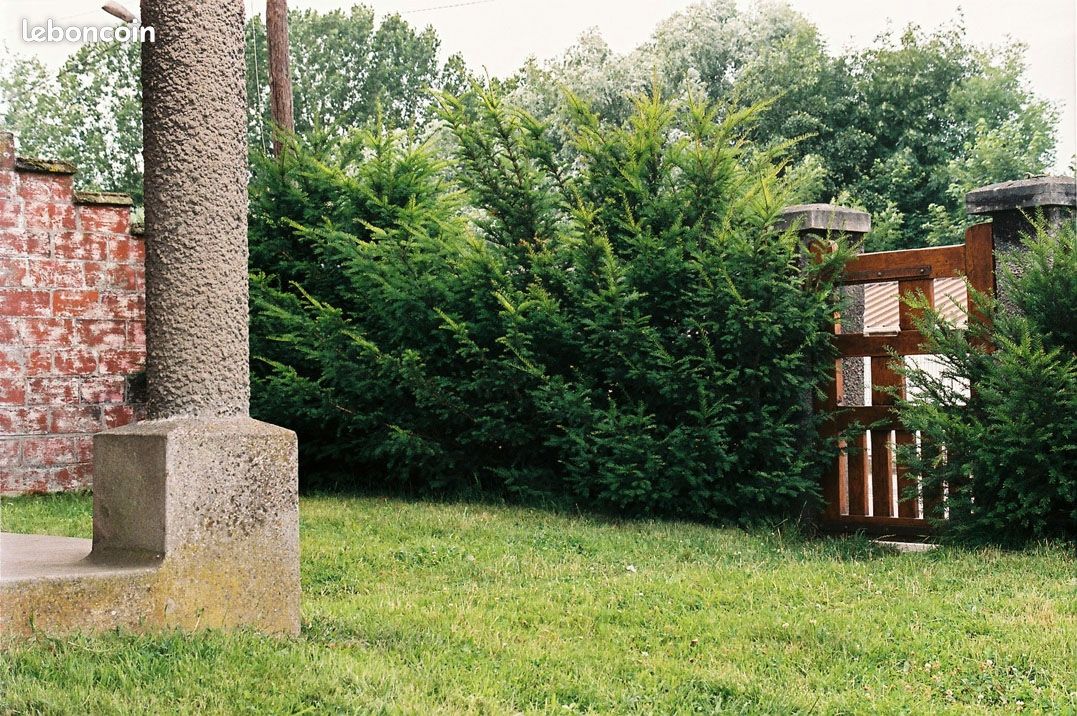 Studio meuble dans authentique villa avec verger (image 10)