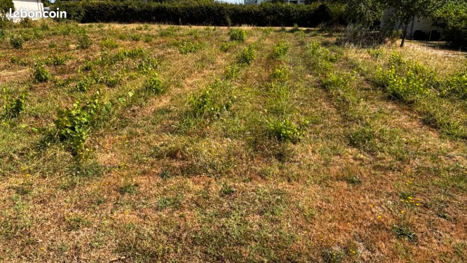 Terrain 700 m² Lormont · 240 000 €