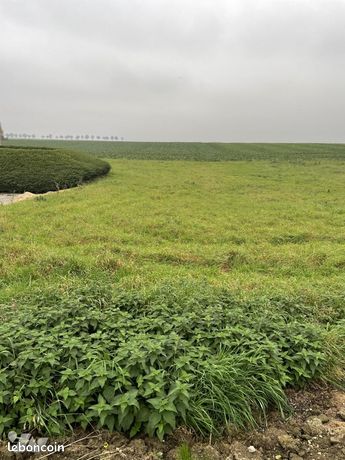 Terrain 1348 m² WAMBAIX