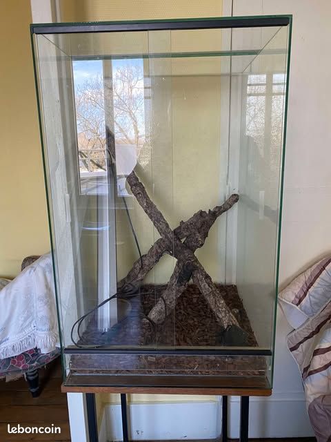Tarrarium (image 1)