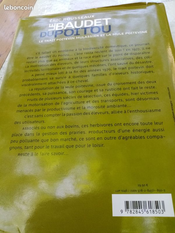 Le Baudet du Poitou, le trait poitevin mulassier et la mule poitevine (image 2)