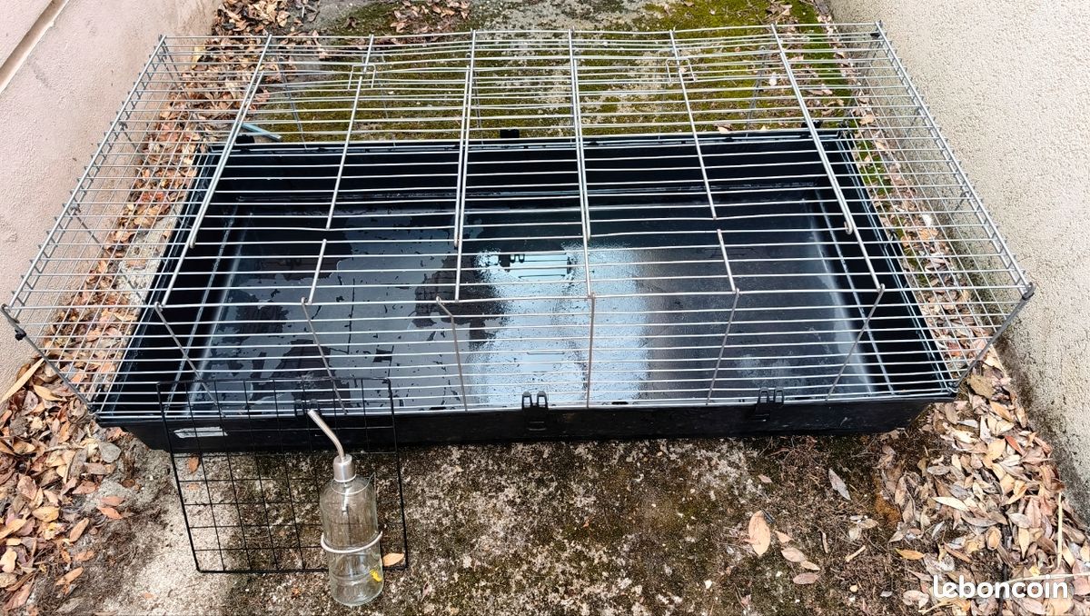 Cage a lapin (image 1)