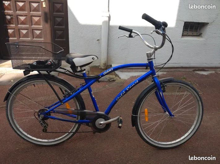 giant gold coast bicycle Roam Disc 2 comfortable upright positioning Giant LIV and Momentum Bikes