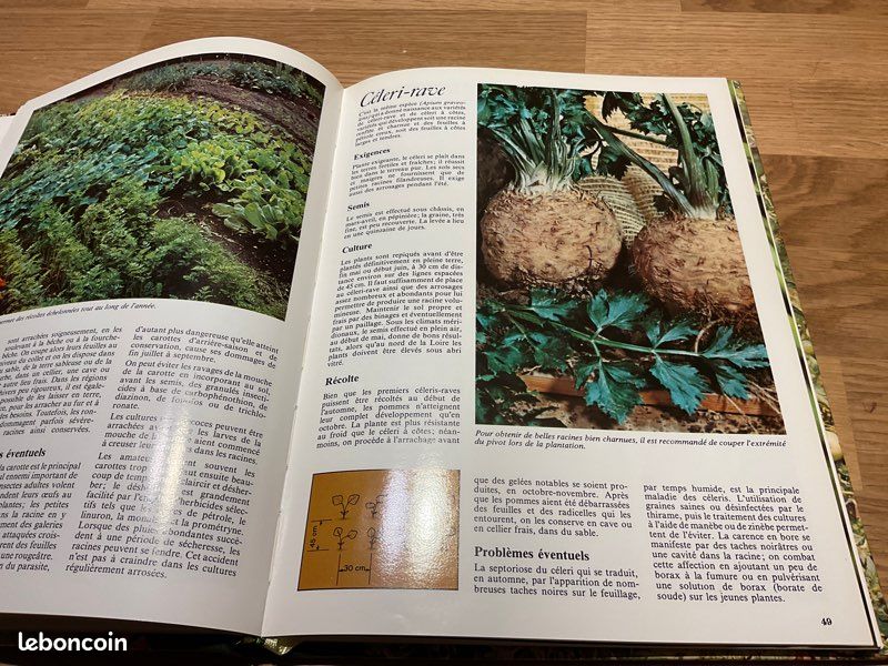 Le jardin potager , encyclopédie de l’amateur de jardins (image 6)