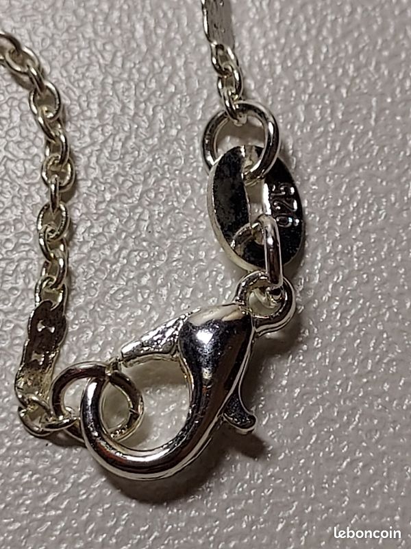 Pendentif élytres Sternocera – Vrai scarabée – Collier argent 925 – Bijou curiosités – Insecte naturel – Chaînes au choix (image 13)