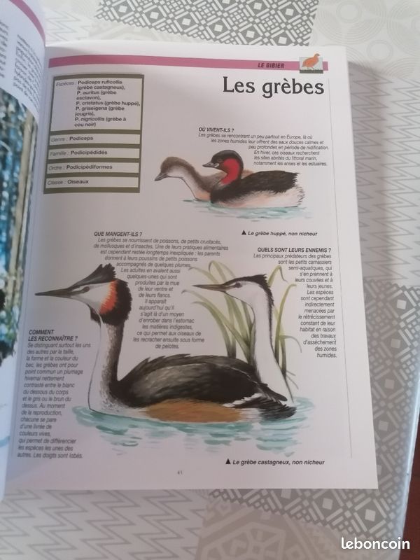 Livre sur la chasse (image 5)