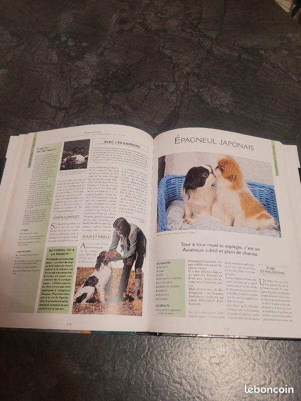 Les plus chiens du monde (image 2)