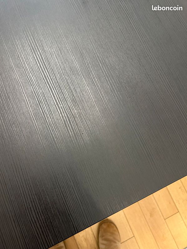 Table et 4 chaises IKEA - SANDSBERG / ADDE (image 4)