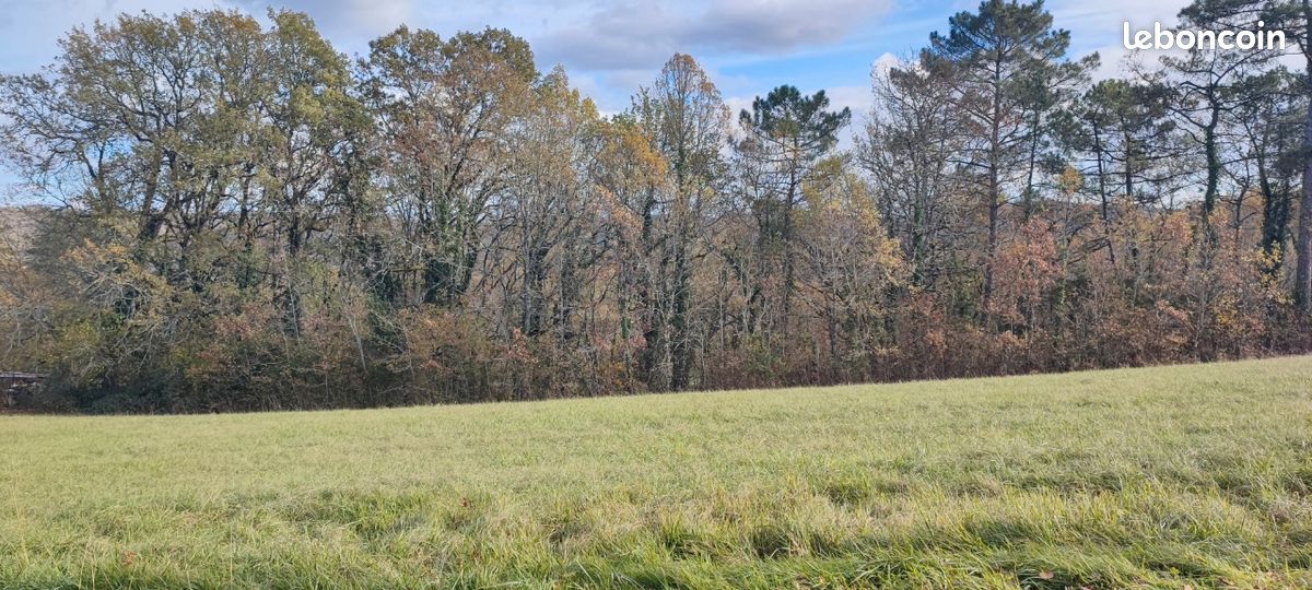 Terrain constructible