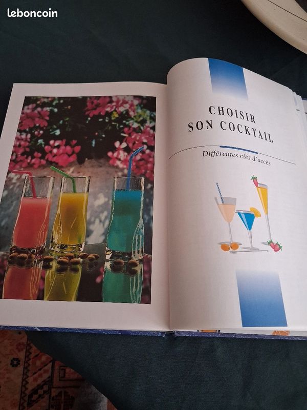 Tout savoir sur les cocktails (image 10)