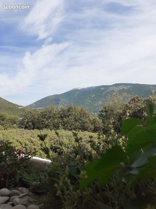 Le paradis a petits prix (image 1)