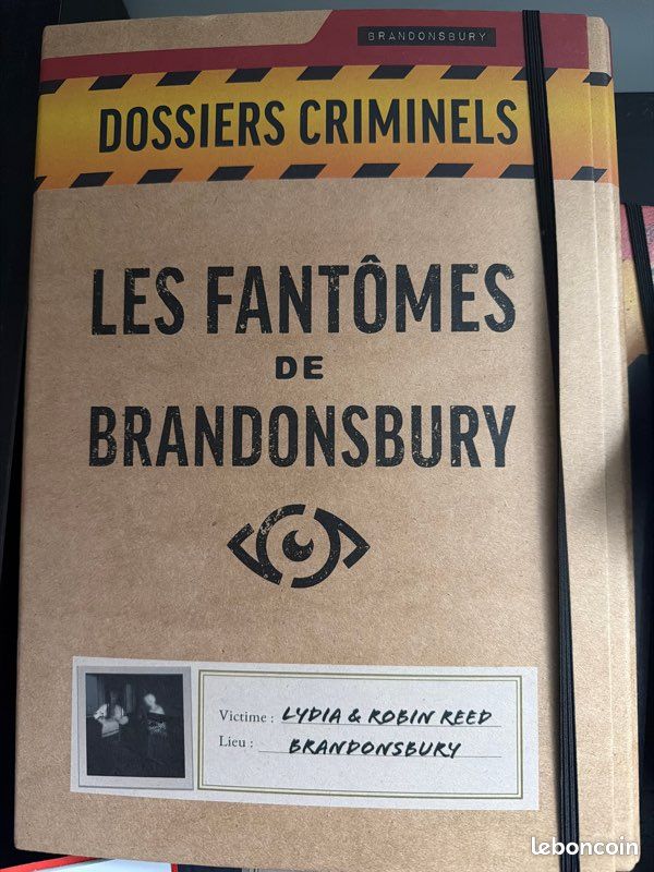 Les fantômes de Brandonsbury (image 1)