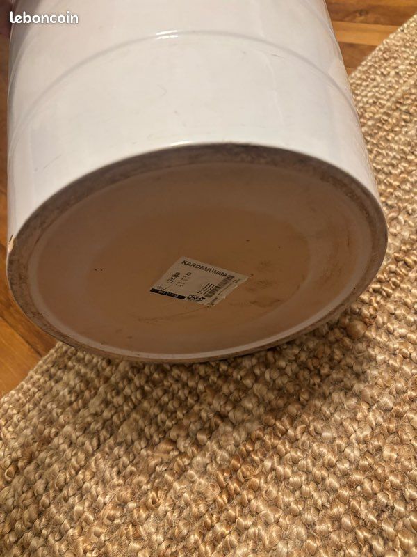 Pot blanc (image 2)