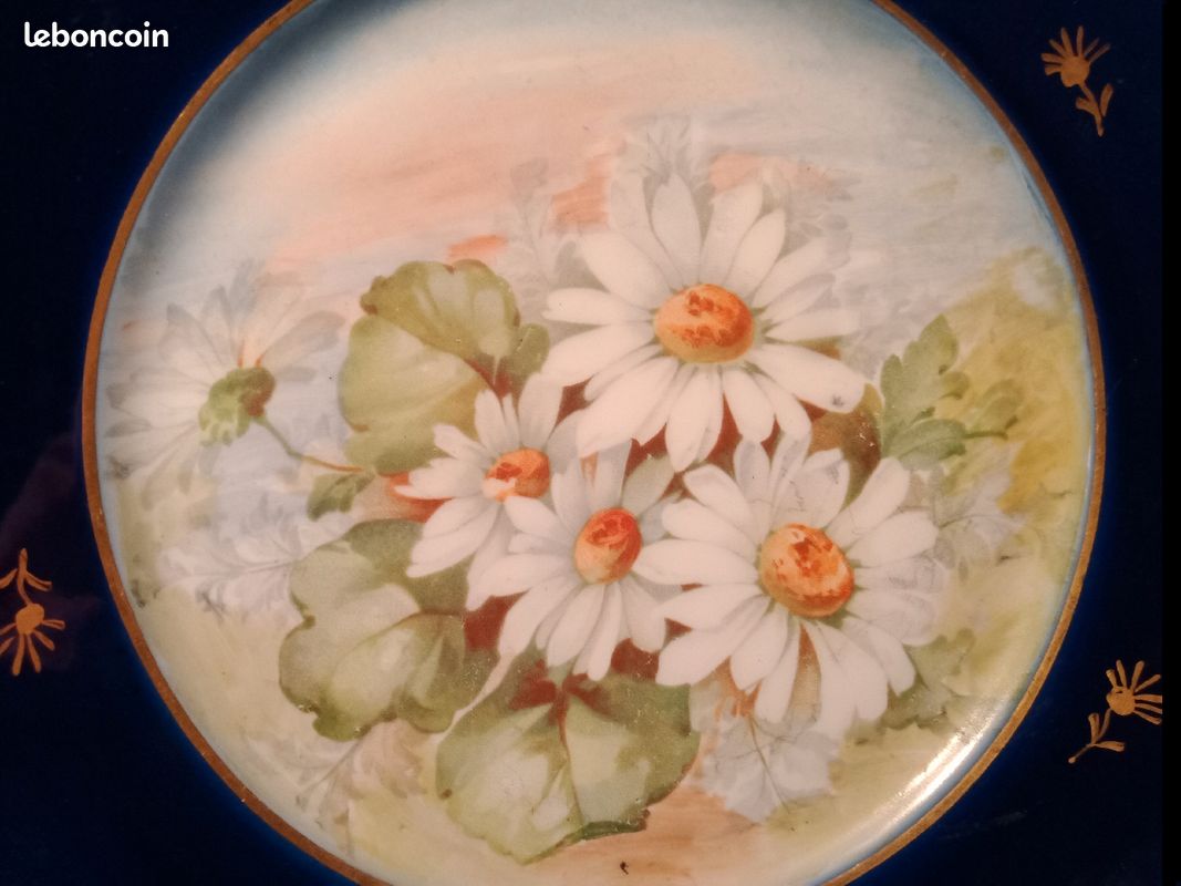 Superbes assiettes fleurie Limoges (image 12)