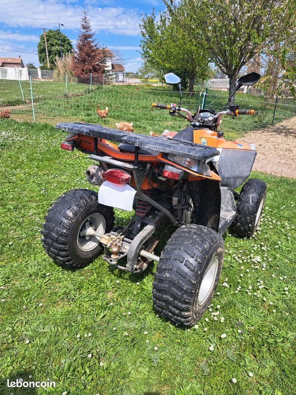 QUAD E-TON vector 300 homologué route (image 2)