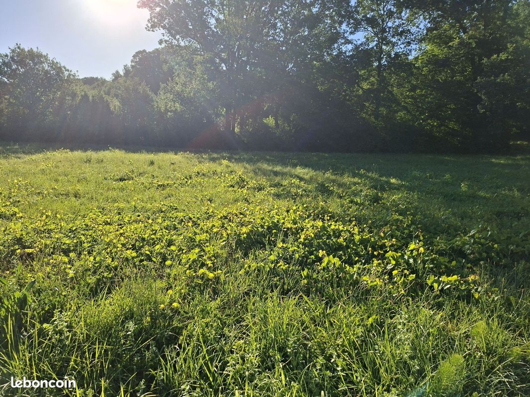 Terrain à bâtir de 700 m² à SADIRAC (33) · 135 000 €