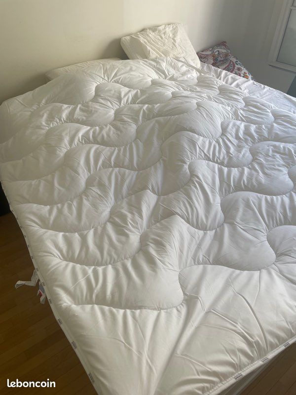 Surmatelas dodo (image 1)