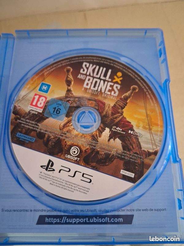 Skull and bones (image 2)