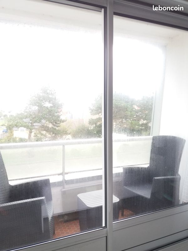 Appartement front de mer f2 (image 8)