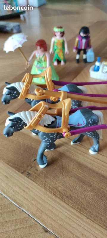 Calèche Playmobil (image 2)