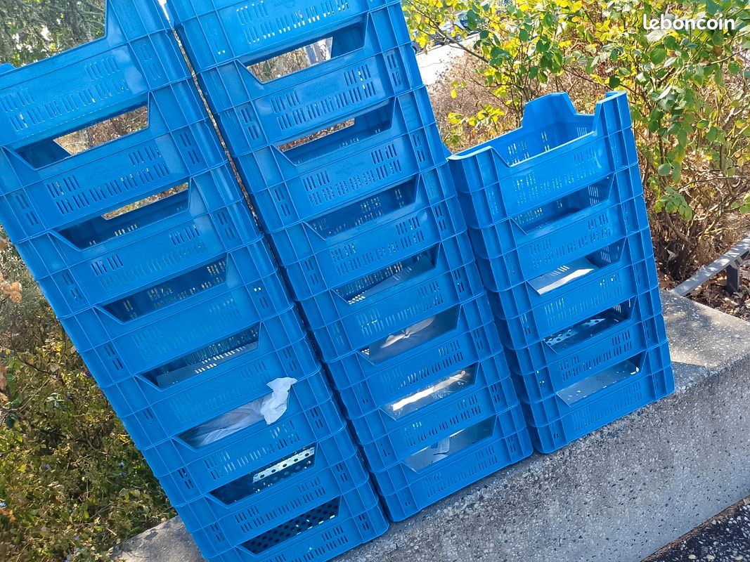 Caisse plastique solide dimension 50 x 40 x 25 (image 1)