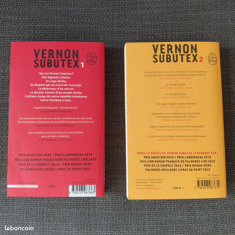 Vernon subutex 1 & 2 (image 2)