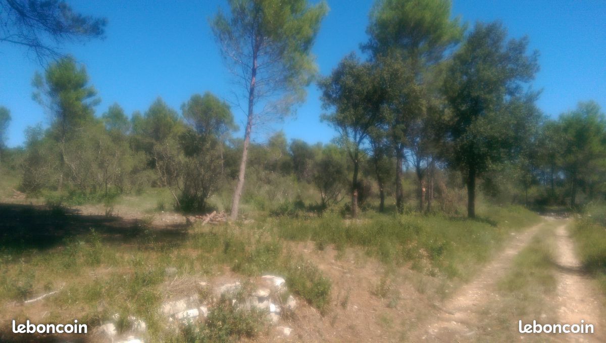 Terrain à FONTANES (30250) de 10 000 m2 à louer · à Fontanès · 100 €