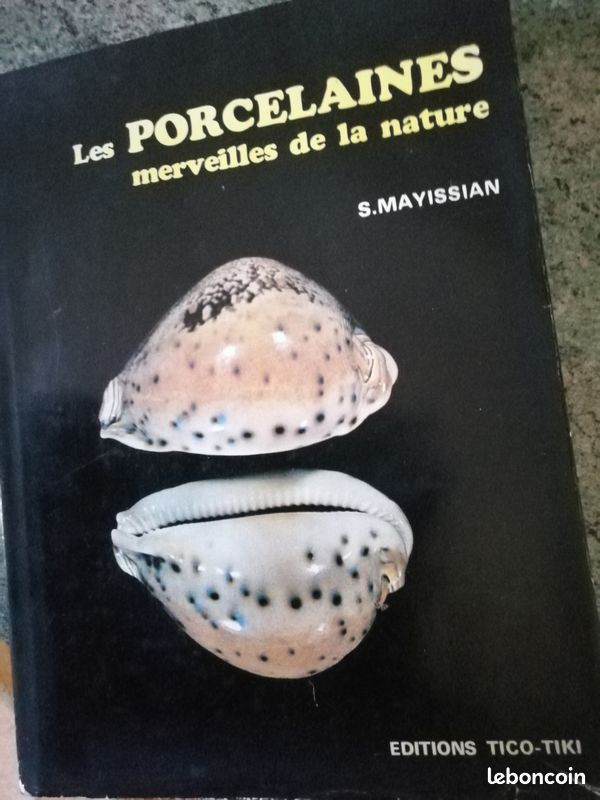 Livre sur les coquillages (image 1)