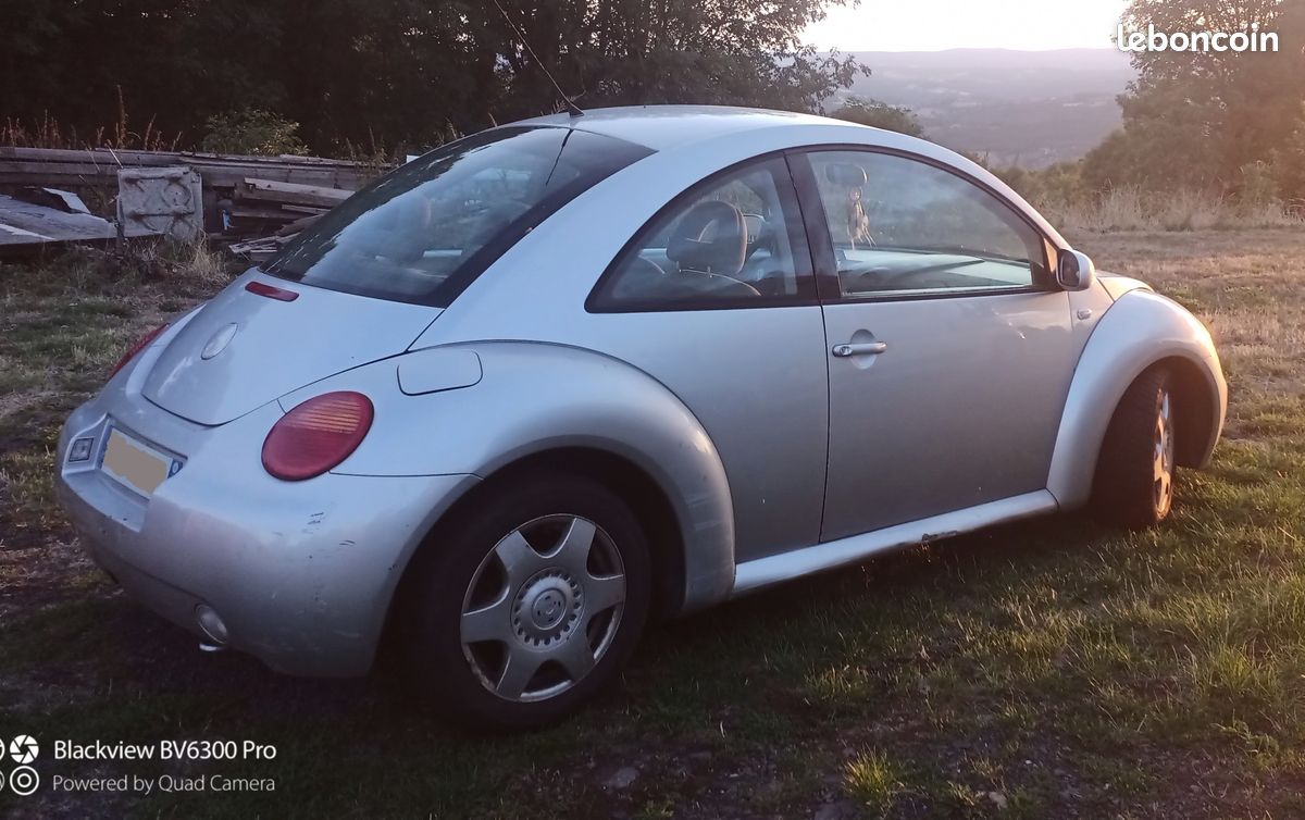 New Beetle (image 2)