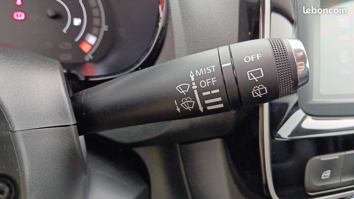 Dacia spring expression (image 24)