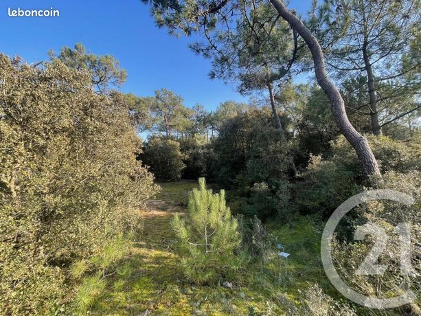 Terrain 1 100 m² Saint Hilaire De Riez