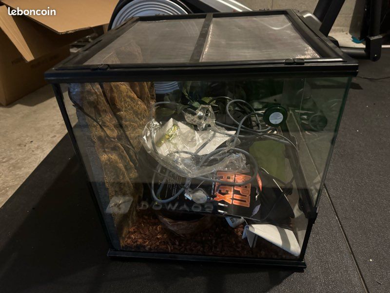 Terrarium (image 2)