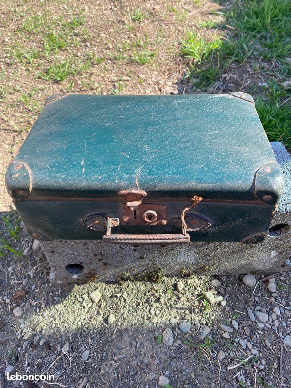 Valise carton (image 1)