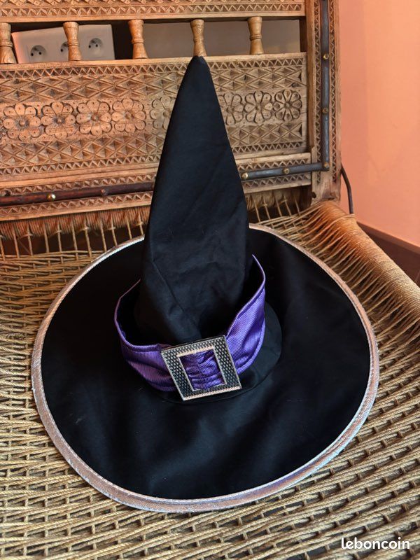 Déguisement sorcière Halloween (image 6)