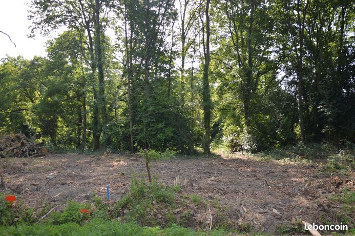 Terrain 1133 m² Saint-Georges-de-Pointindoux