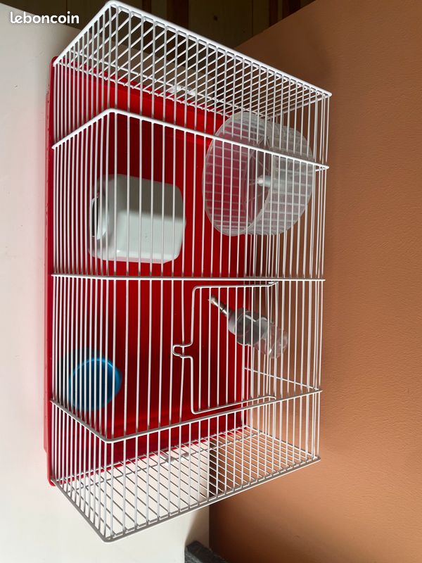 Cage hamster (image 1)