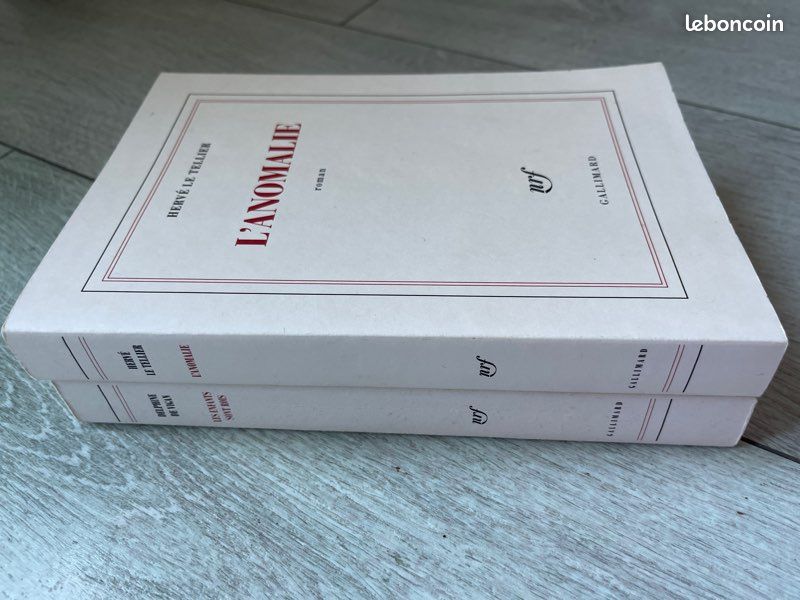 Livre Gallimard De Vigan (image 2)