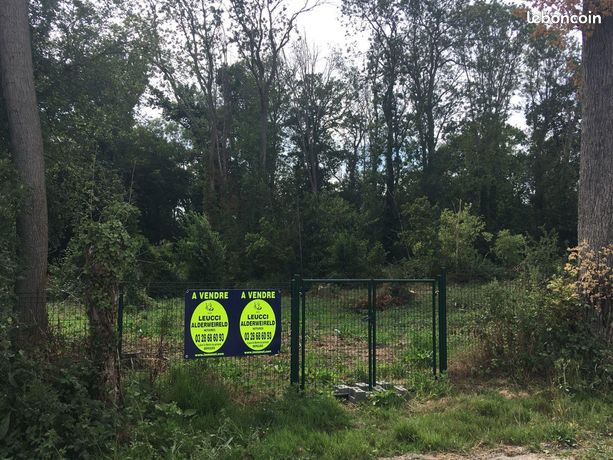 Terrain 3442 m² Socx