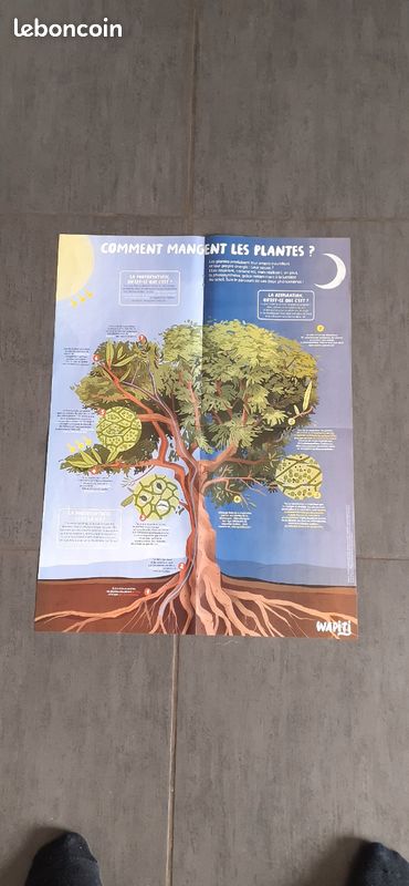 Lot de 3 posters (image 6)