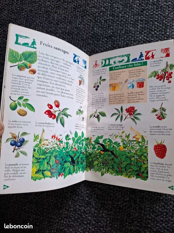 Livre À la campagne en bon état (image 5)
